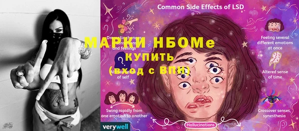 стафф Аркадак