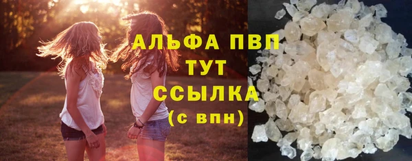 стафф Аркадак